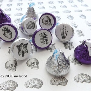 Candy Stickers Medical Graduation back to school buffet label party favor anatomy skull anatomic heart teacher envelope gift treat bag goth