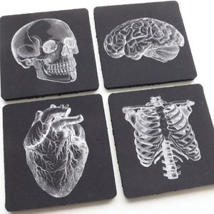 Doctor Medical School Graduation Gift Coaster goth future male nurse practitioner physician assistant anatomical heart skeleton med student image 4