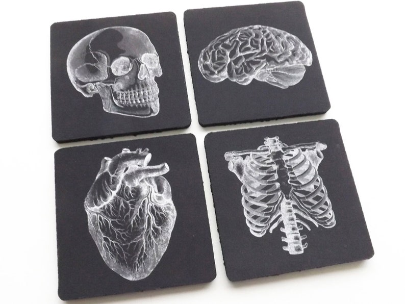 Doctor Medical School Graduation Gift Coaster goth future male nurse practitioner physician assistant anatomical heart skeleton med student image 4