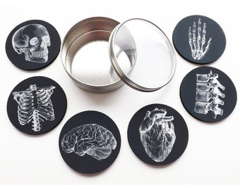 Anatomy Coaster future doctor male nurse medical student physician assistant gift stocking stuffer black white goth home decor gothic school