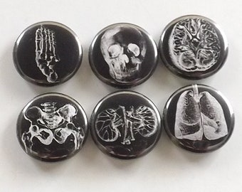 Anatomical Fridge Magnets set gift for him male nurse physician skull foot lungs graduation geek button pins greys goth kitchen masculine