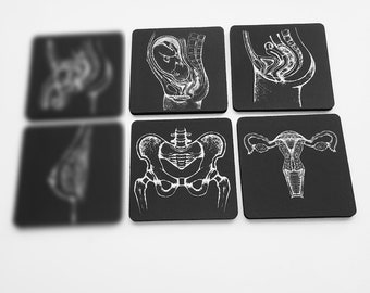 Female Anatomy drink coasters uterus reproduction gynecology gynecologist gift nurse physician assistant