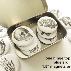 Anatomy Magnet Set graduation gift doctor student nurse medical anatomical heart skull halloween party favors stocking stuffer goth men Bild 5