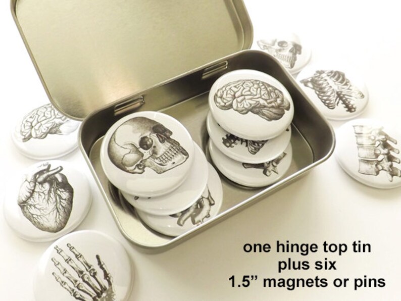 Anatomy Magnet Set graduation gift doctor student nurse medical anatomical heart skull halloween party favors stocking stuffer goth men Bild 5