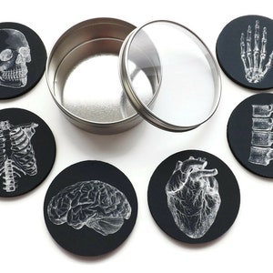 Anatomy Coaster future doctor male nurse medical student physician assistant gift stocking stuffer black white goth home decor gothic school