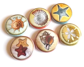 May include: Six round, colorful buttons with images of seashells, starfish, and sand dollars. The buttons are approximately 1 inch in diameter.