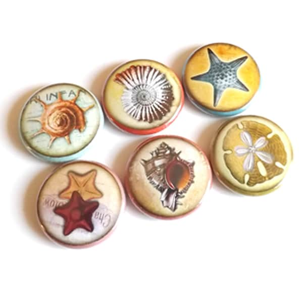 Sea Shells button pins badges stocking stuffers starfish sand dollar party favors nature nautical gifts magnets coastal beach ocean novelty