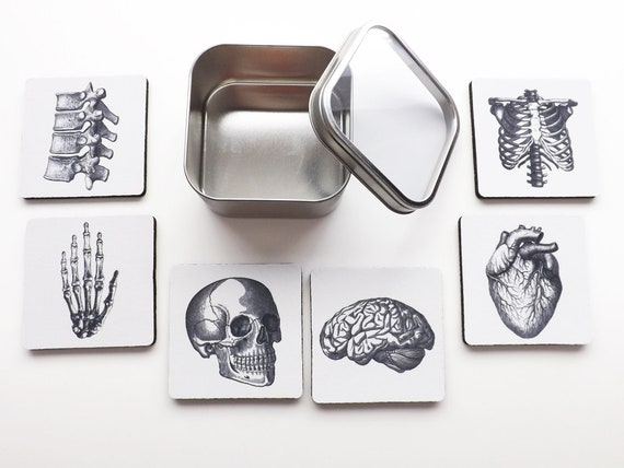 Tin Sign Anatomy Science skull Medical Doctor Vintage Decoration