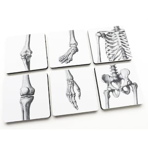 Joints Drink Coasters medical gift set anatomy ortho doctor nurse school graduation party favor goth hip foot hand knee arthritis md rn pa