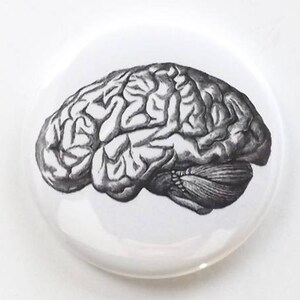 May include: A black and white illustration of a human brain on a white background.