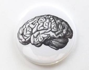 Fridge Magnet Brain human anatomy medical science gift geekery goth black and white doctor nurse physician