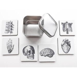 Anatomy Coasters Medical Student Gift doctor graduation goth nurse practitioner physician assistant anatomical heart bones skeleton skull md image 1