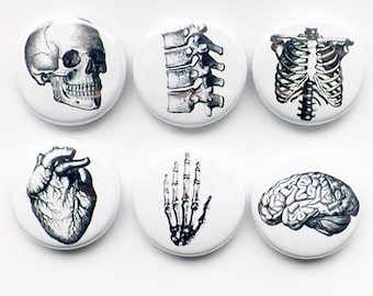 Button Pins Anatomy brain skull anatomical heart med medical student gift stocking stuffer party favor magnet teacher goth nurse doctor grey