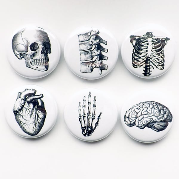 Button Pins Anatomy brain skull anatomical heart med medical student gift stocking stuffer party favor magnet teacher goth nurse doctor grey