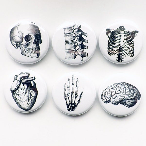 Human Anatomy flair Magnet Button Pin Badges Coaster teacher gifts brain skull science anatomical heart geekery stocking stuffer party goth