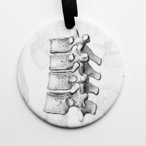 May include: A white ceramic ornament with a black and white illustration of a human spine.