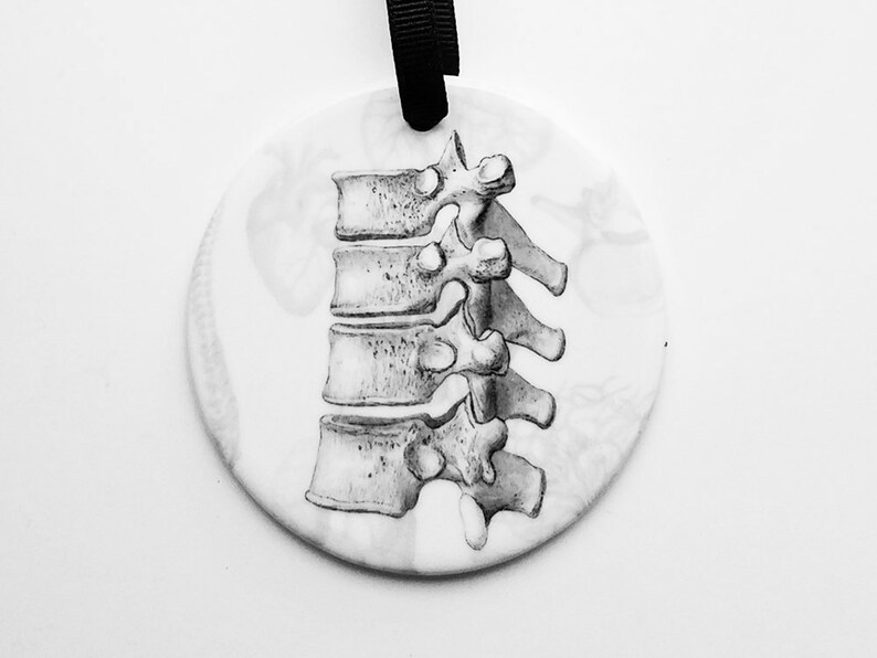 May include: A white ceramic ornament with a black and white illustration of a human spine.