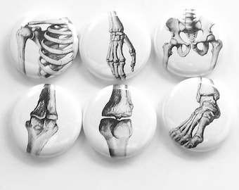 Joints Gift anatomy magnet set doctor teacher nurse bones arthritis hip shoulder wrist ankle elbow knee ortho physical therapy goth student
