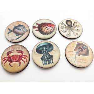 May include: Set of six round coasters featuring vintage illustrations of various sea creatures, including a crab, a fish, a jellyfish, an octopus, a pufferfish, and a ray. The coasters are printed on a cream-colored background with black text.