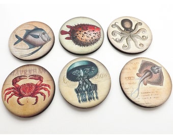 Ocean Creatures Coasters mug rugs hostess gift coastal beach nature crab puffer blue fish octopus jellyfish party favor home decor nautical