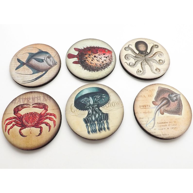 May include: Set of six round coasters featuring vintage illustrations of various sea creatures, including a crab, a fish, a jellyfish, an octopus, a pufferfish, and a ray. The coasters are printed on a cream-colored background with black text.