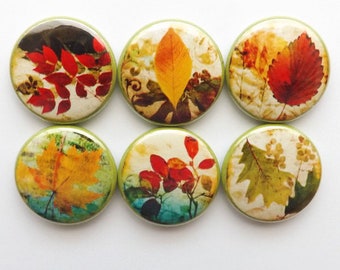 Autumn decor leaves buttons pins fall nature party favor stocking stuffer shower hostess gift home magnet thanksgiving holiday warm