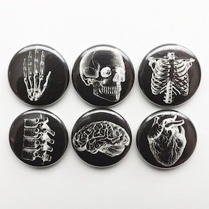 May include: Set of six black and white anatomical buttons featuring a skull, rib cage, spine, hand, brain, and heart.