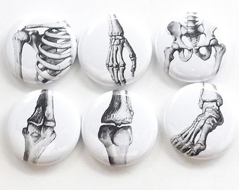 Joints Gift anatomy magnet set doctor teacher nurse bones arthritis hip shoulder wrist ankle elbow knee ortho physical therapy goth student