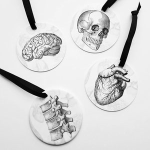 May include: Four round white ornaments with black ribbon hangers. Each ornament features a different anatomical illustration: a brain, a skull, a heart, and a spine.