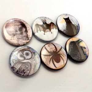 May include: Set of six round, colorful buttons with images of a skull, bat, black cat, spider, owl, and raven. The buttons are approximately 1 inch in diameter.