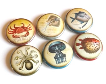 Fish Ocean Sea refrigerator button magnets nautical jellyfish puffer octopus gift party favors stocking stuffer pins beach rustic home decor
