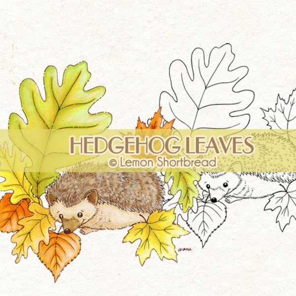 Digitale Stempel Igel Blätter, Digi Herbst Herbst, Färbung Seite, niedliche Tiere, Frühling Natur, Garten Blatt