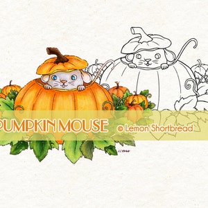 Digital Stamp Pumpkin Mouse, Digi Halloween Jack O Lantern, Autumn Fall, Digi Download, Animal Coloring Page, Line Art