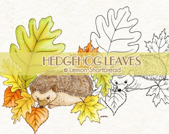 Digital Stamp Hedgehog Leaves, Digi Autumn Fall, Coloring Page, Cute Animals, Spring Nature, Garden Leaf