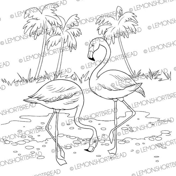 Digital Stamp Flamingo, Digi Flamingoes Tropical Birds, Summer Image Graphic, Clip Art, Coloring Page, Palm Trees