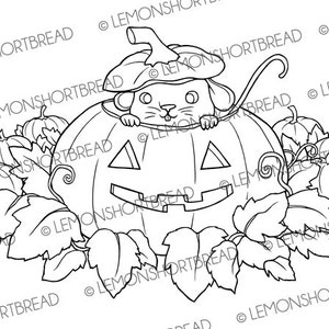 Pu&ograve; includere: Un disegno in bianco e nero di un topo che indossa un cappello di zucca e sporge da una zucca intagliata. La zucca &egrave; circondata da zucche pi&ugrave; piccole e foglie.