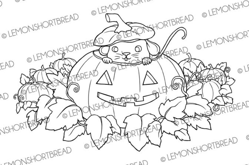 Pu&ograve; includere: Un disegno in bianco e nero di un topo che indossa un cappello di zucca e sporge da una zucca intagliata. La zucca &egrave; circondata da zucche pi&ugrave; piccole e foglie.