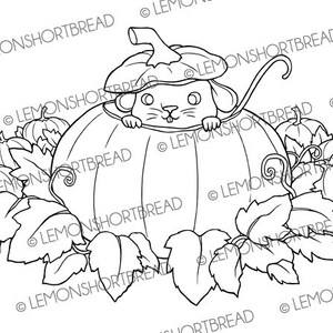 Pu&ograve; includere: Un disegno in bianco e nero di un topo che spunta da una zucca. Il topo &egrave; seduto dentro la zucca con le zampe sul bordo. Ci sono altre zucche e foglie intorno alla zucca.