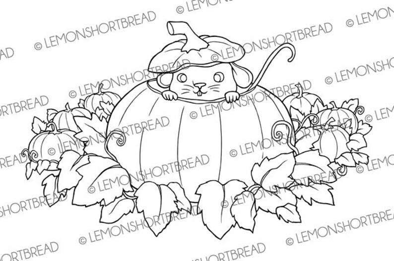 Pu&ograve; includere: Un disegno in bianco e nero di un topo che spunta da una zucca. Il topo &egrave; seduto dentro la zucca con le zampe sul bordo. Ci sono altre zucche e foglie intorno alla zucca.