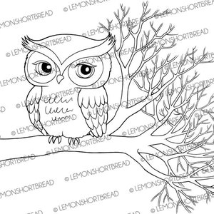 Digital Stamp Owl on Branch, Digi Autumn Fall Coloring Page, Forest Bird Tree, Clip Art Image, Download