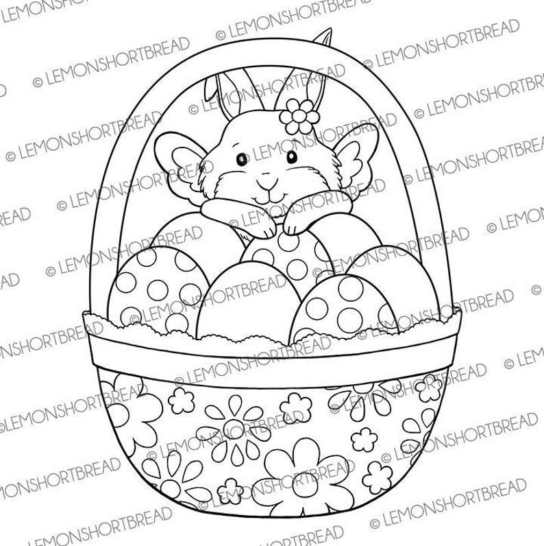 Easter Bunny Fairy Digital Stamp Digi Coloring Page Download image 0