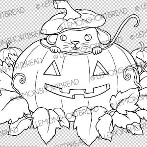 Pu&ograve; includere: Un disegno in bianco e nero di un topo che spunta da una zucca intagliata. La zucca &egrave; circondata da zucche pi&ugrave; piccole e foglie.