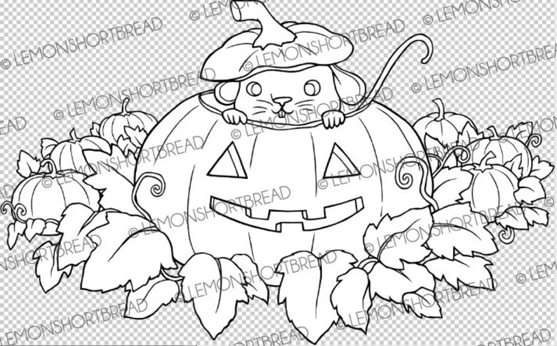 Pu&ograve; includere: Un disegno in bianco e nero di un topo che spunta da una zucca intagliata. La zucca &egrave; circondata da zucche pi&ugrave; piccole e foglie.