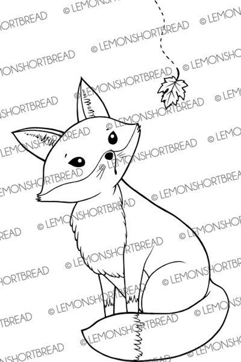 May include: A black and white line drawing of a fox sitting with its tail curled around its body. The fox is looking to the left and has a leaf on its nose.
