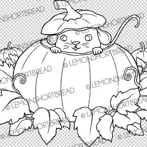 Pu&ograve; includere: Un disegno in bianco e nero di un topo che sbircia da una zucca. Il topo indossa un cappello di zucca. Ci sono altre zucche e foglie intorno alla zucca.