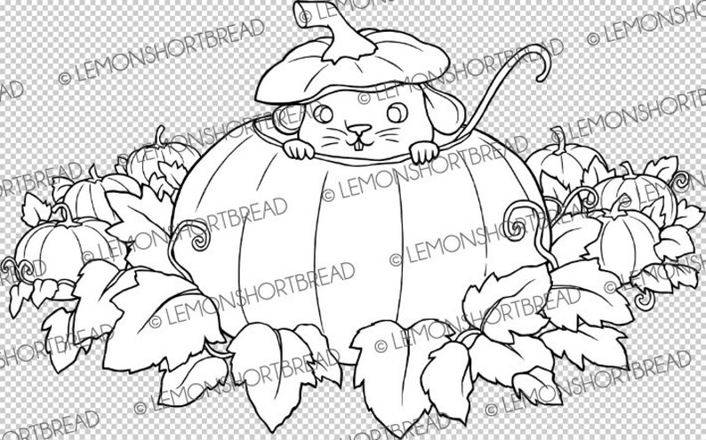Pu&ograve; includere: Un disegno in bianco e nero di un topo che sbircia da una zucca. Il topo indossa un cappello di zucca. Ci sono altre zucche e foglie intorno alla zucca.