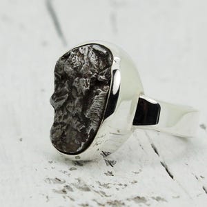 Bague météorite : pierre Campo Cielo ovale dans une lunette en argent sterling