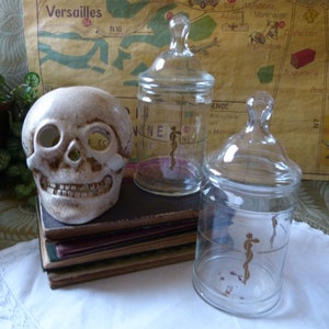 Glass Apothecary Jars Applied Gilded Rod of Asclepius Vintage Pharmacy Medicine