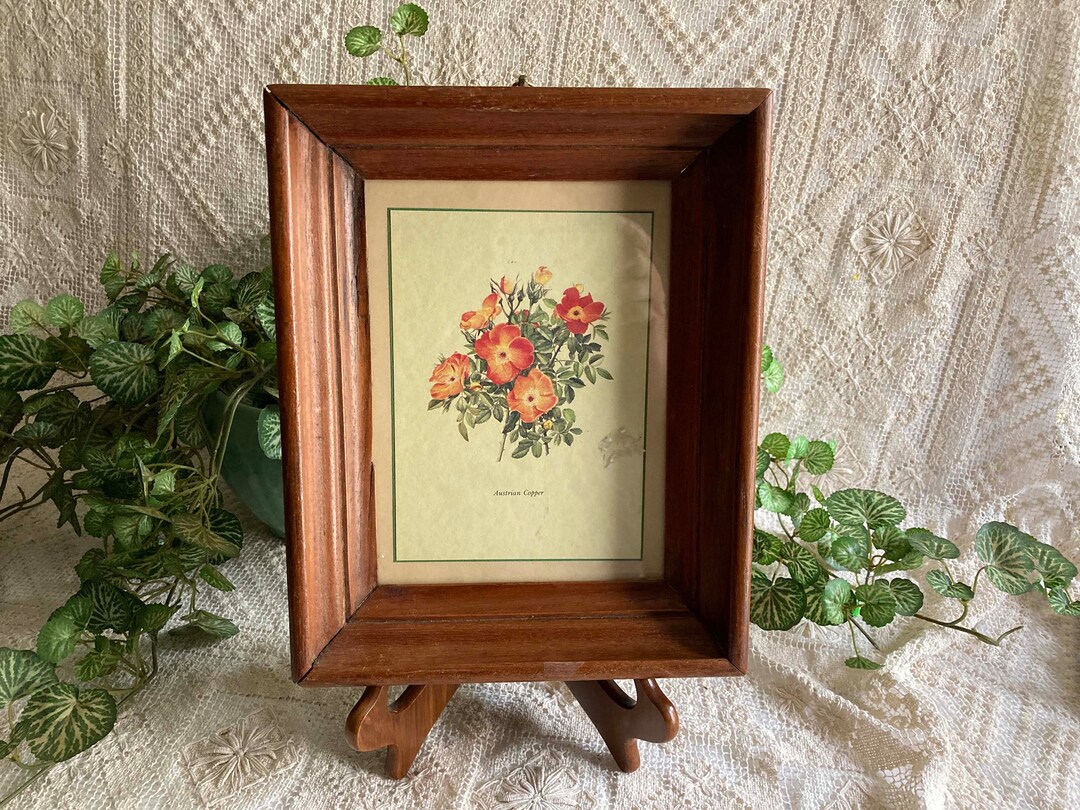 アンティーク ゴルフ シャドウボックス M. Louis 木製フレーム