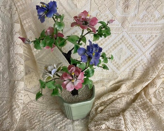 Asian Jade Bonsai Pink Purple White Flowering Tree Celadon Pot